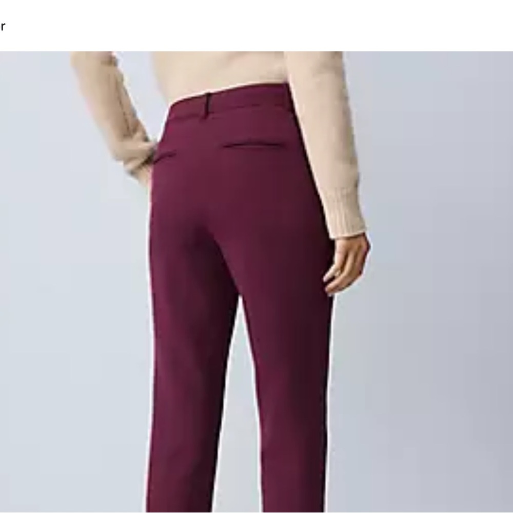 Ann Taylor Ankle Pants